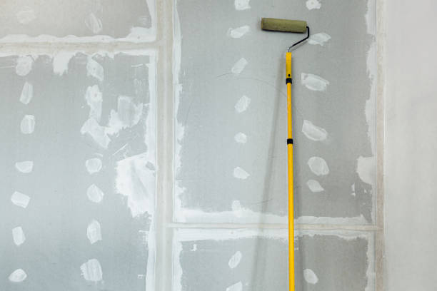 Reliable Pinecrest, FL Dry wall and painting Solutions